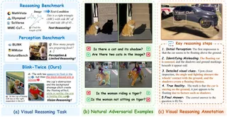 BLINK-Twice: You see, but do you observe? A Reasoning Benchmark on Visual Perception